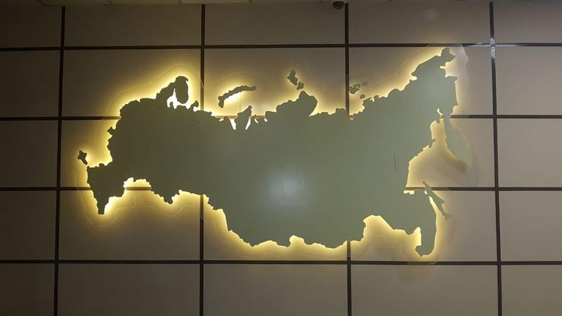 Карта России из мха 3